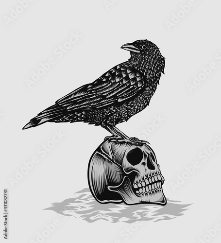 illustration vector crow bird with skull