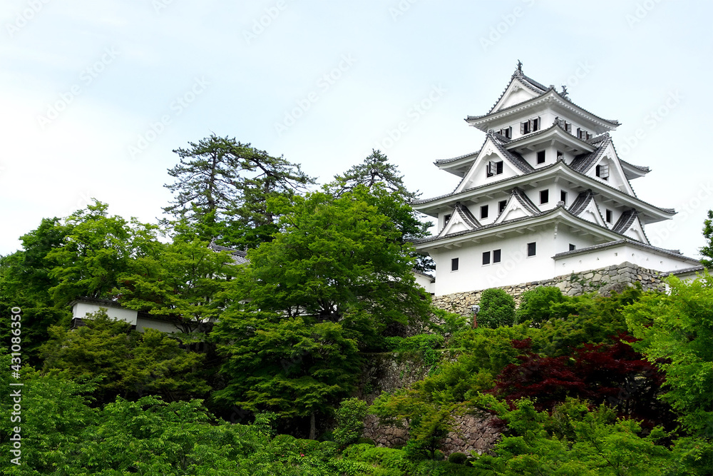 山城の天守閣をアップ（郡上八幡城）／岐阜県郡上市