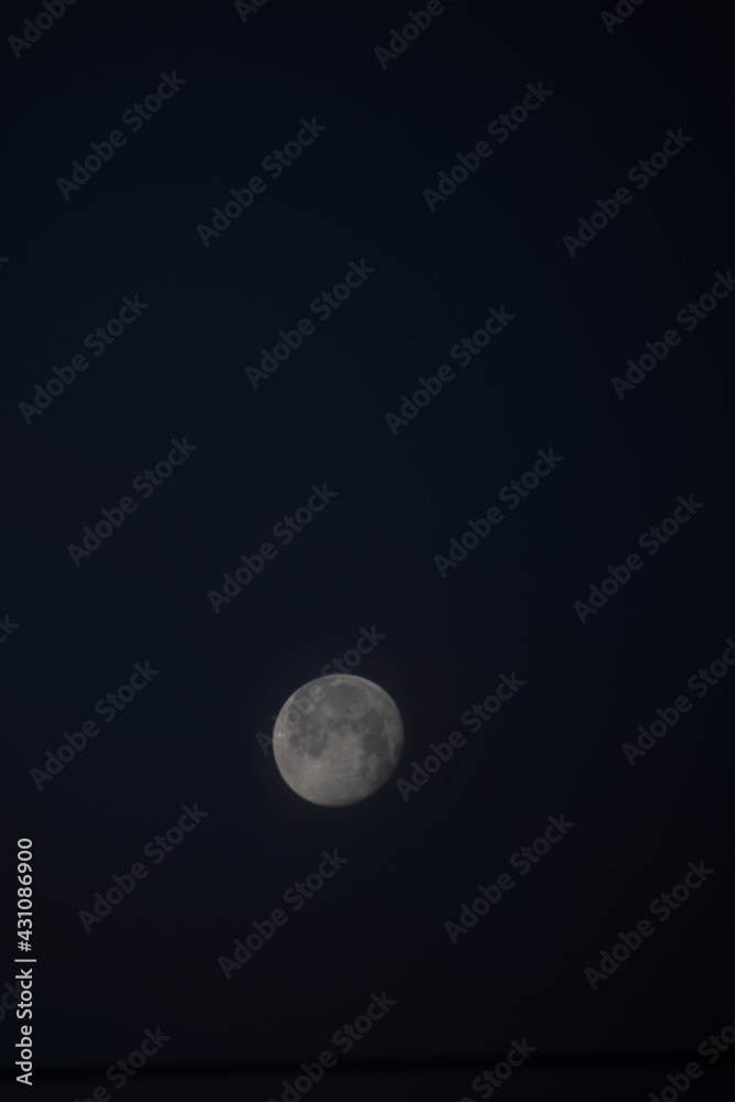 Moon Moon
