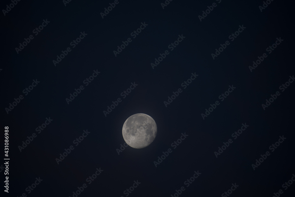 Moon Moon