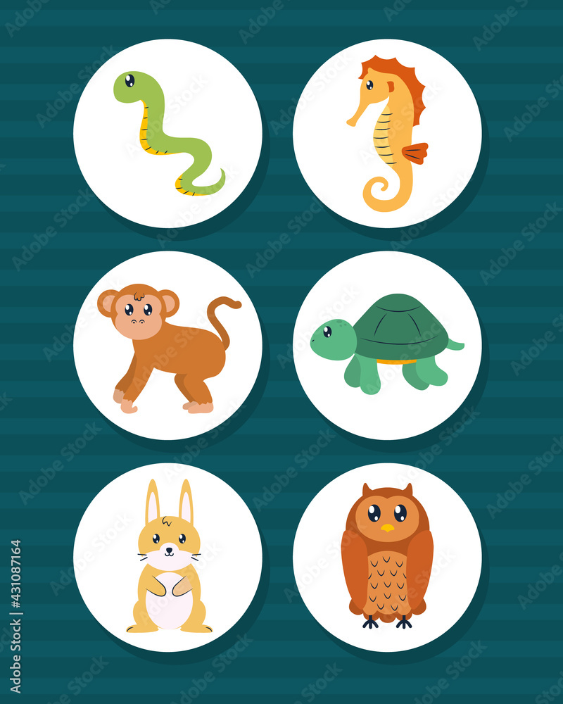 cute animals set cute animals set