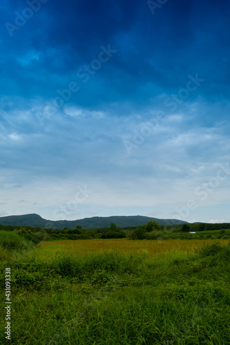 landscape view with blue,black,red sky and green mountain.