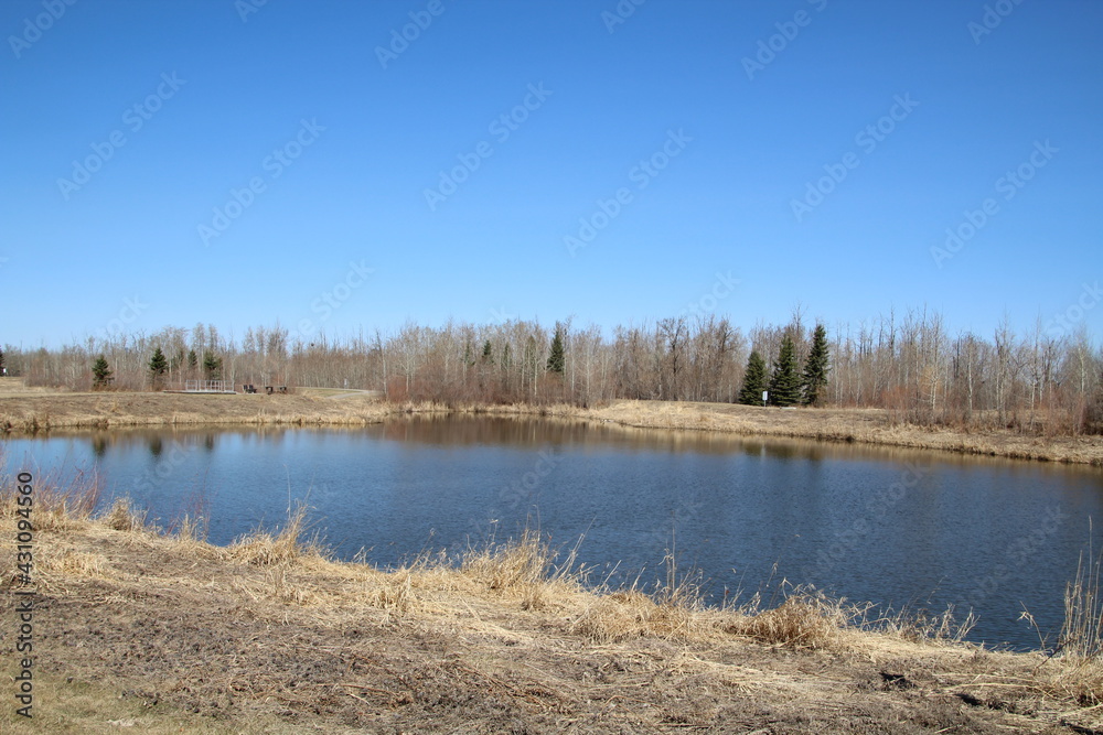 April Blue On The Wetlands, Pylypow Wetlands, Edmonton, Alberta April Blue On The Wetlands, Pylypow Wetlands, Edmonton, Alberta