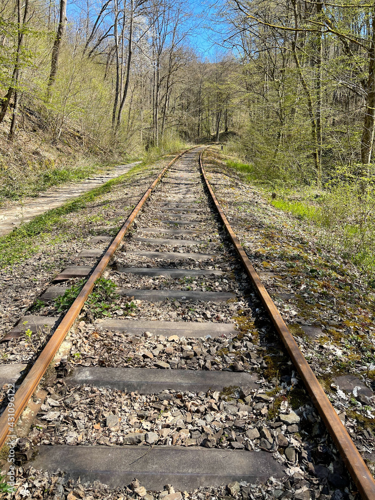 Obraz premium In der Rheinlandpfalz im Frühling