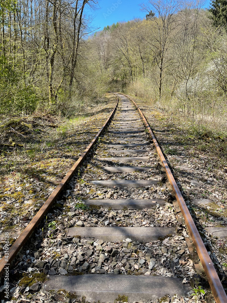 In der Rheinlandpfalz im Frühling In der Rheinlandpfalz im Frühling