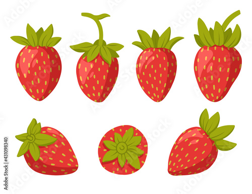 Collection of strawberries isolated on white background. Fresh, organic berries. Healthy and beneficial product. Gardening or horticulture concept. Vector illustration.