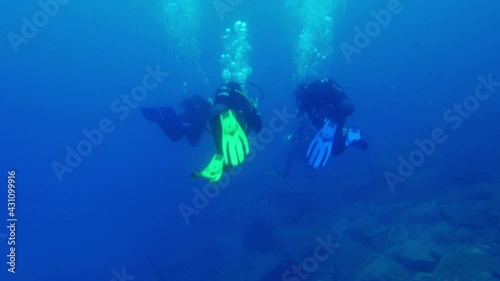Divers dive in the blue ocean.