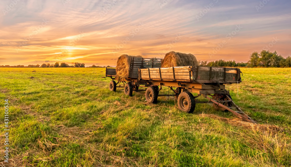 Obraz premium Old vintage carriage with hay stacks in green shiny field with beautiful sunset , hay cart in country valley during sunrise , wagon with haystacks and scenic view