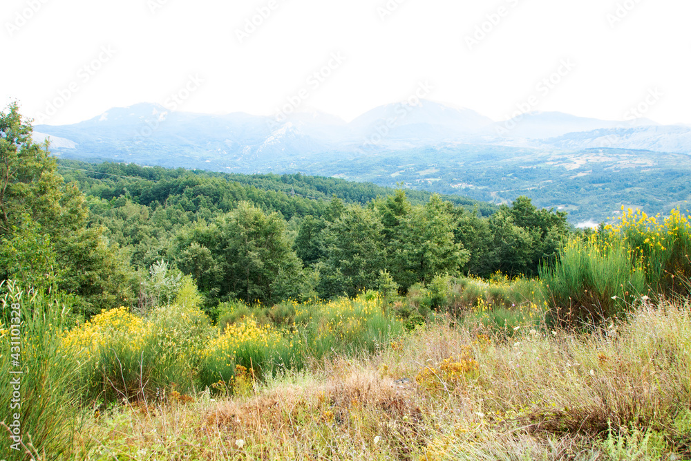 Lanscape of Pollino national park in summer, Basilicata region, ITaly 