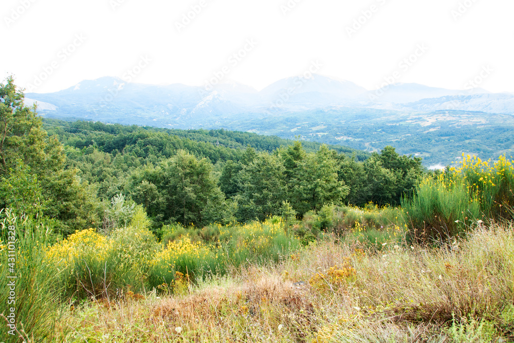 Lanscape of Pollino national park in summer, Basilicata region, ITaly Lanscape of Pollino national park in summer, Basilicata region, ITaly