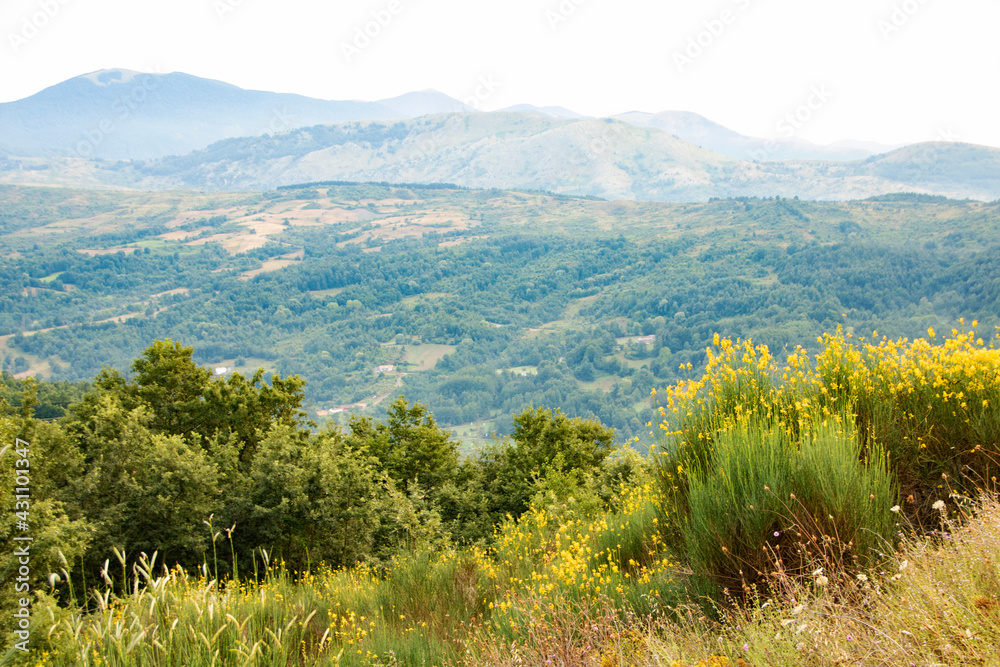 Lanscape of Pollino national park in summer, Basilicata region, ITaly 