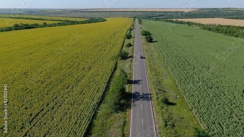 Aerial view of road with black car on it near dry sunflower fields and trees.