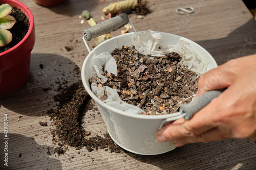 Close-up of woman's hands planting seeds in a tin pot. Watering and care of outdoor plants. Gardening at home.