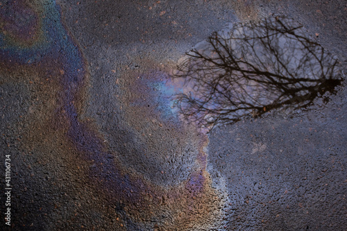 An oily stain on wet asphalt after rain, a tree is reflected in a puddle nearby. Pollution of nature with oil products.