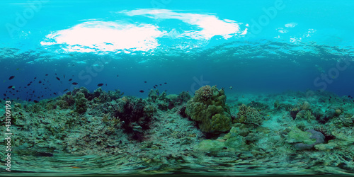 Tropical coral reef. Scene reef. Marine life sea world. Underwater fish reef marine. Philippines. Virtual Reality 360.