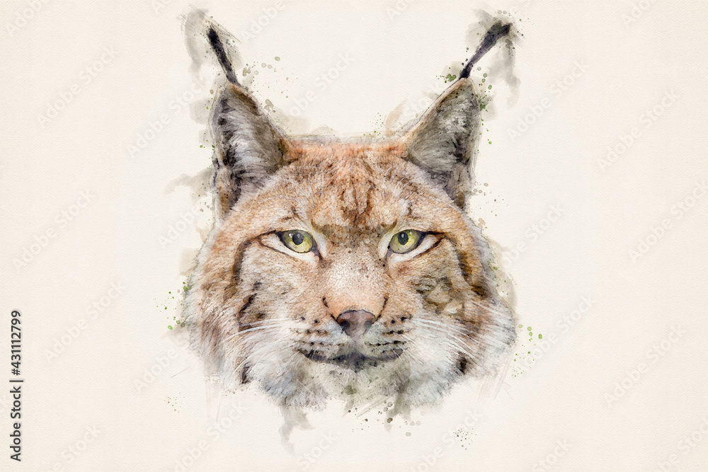 Obraz Lynx. Eurasian lynx (lynx lynx), wild cat or bobcat. Aquarelle, watercolor illustration.