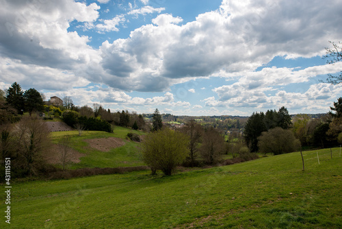 landscape in the summer