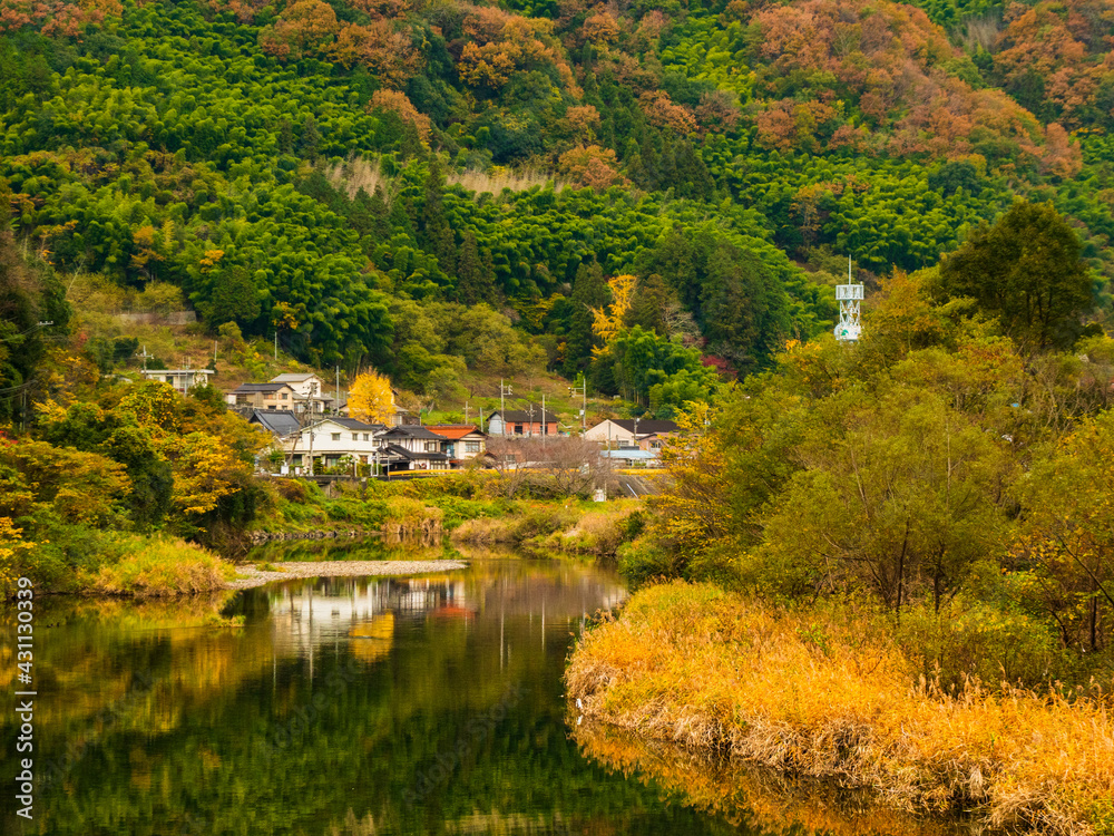 山口県小瀬川沿いの秋の風景