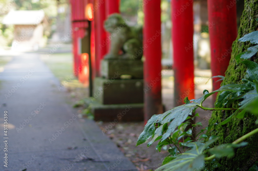 神社の朝