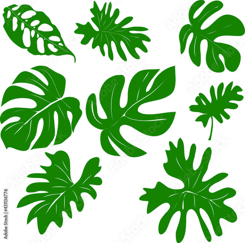 Vector set of hand drawn of exotic green leaves 