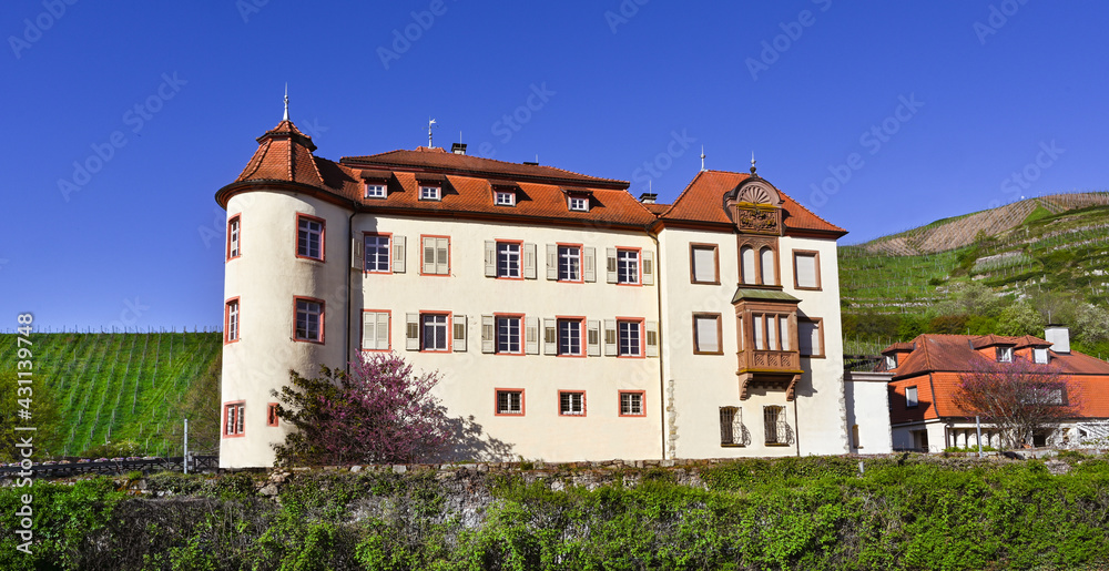 The beautiful Schloss Neuweier winery between Sinzheim and Buehl. Baden Wuerttemberg, Germany, Europe