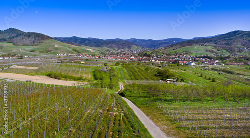 The Bühler Valley with the  Vineyards of Neuweier, Altschweier and Bühl. In the background the Black Forest. Baden Wuerttemberg, Germany, Europe photo