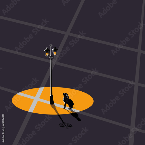 A street lamp and dog. Vector illustration. 