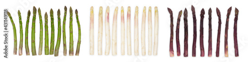 Asparagus group of healthy vegetables organized in a row isolated on a white background. Purplem green and white asparagus.