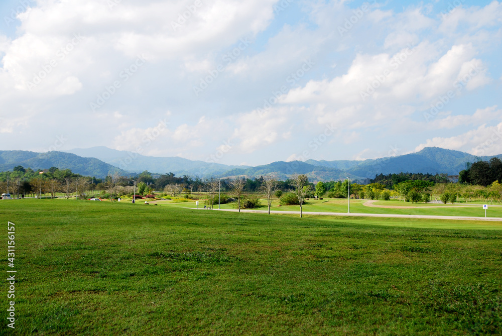Nature scene of Green Grass Parks with Cloud blue sky background at singha parks , chiang rai , thailand