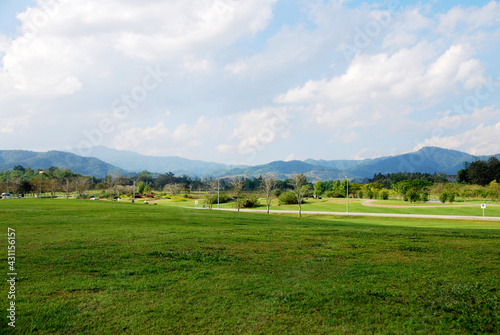 Nature scene of Green Grass Parks with Cloud blue sky background at singha parks , chiang rai , thailand © kittinit