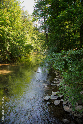 Shady Thuringian Forest With Schwarza River