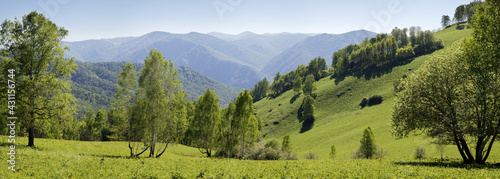 Panoramic view of mountains in a spring afternoon, greenery of forests and meadows