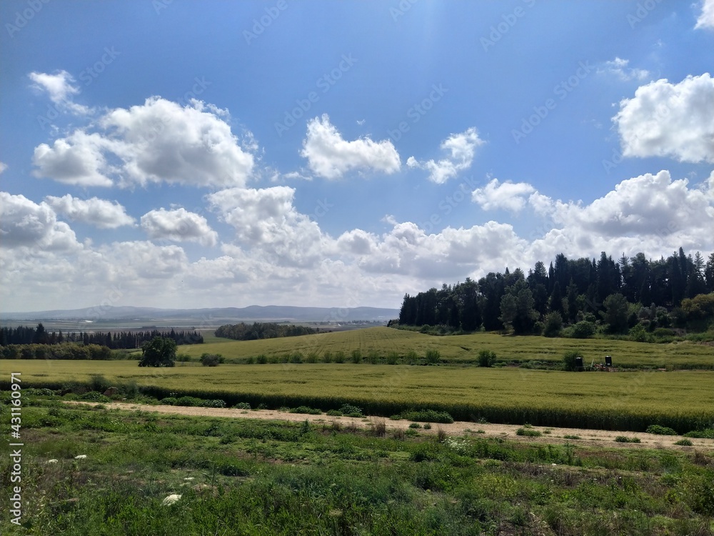 landscape with clouds landscape with clouds