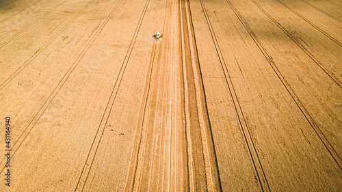 Agriculture in Poland. Harv...