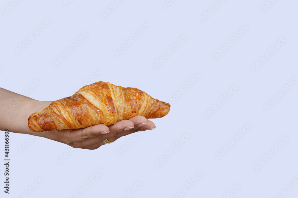 Croissant On Woman Hands Background Isolated