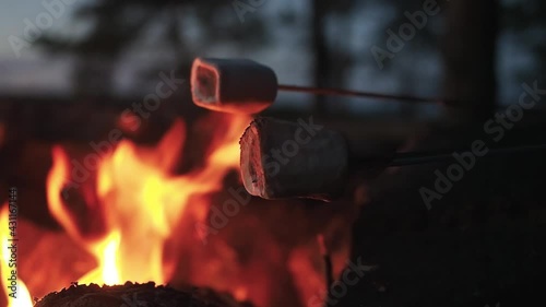 Close up. Roasting marshmallows over camp bonfire on the beach at sunset. Heating, roast or toast marshmallow on stick. Romantic evening leisure