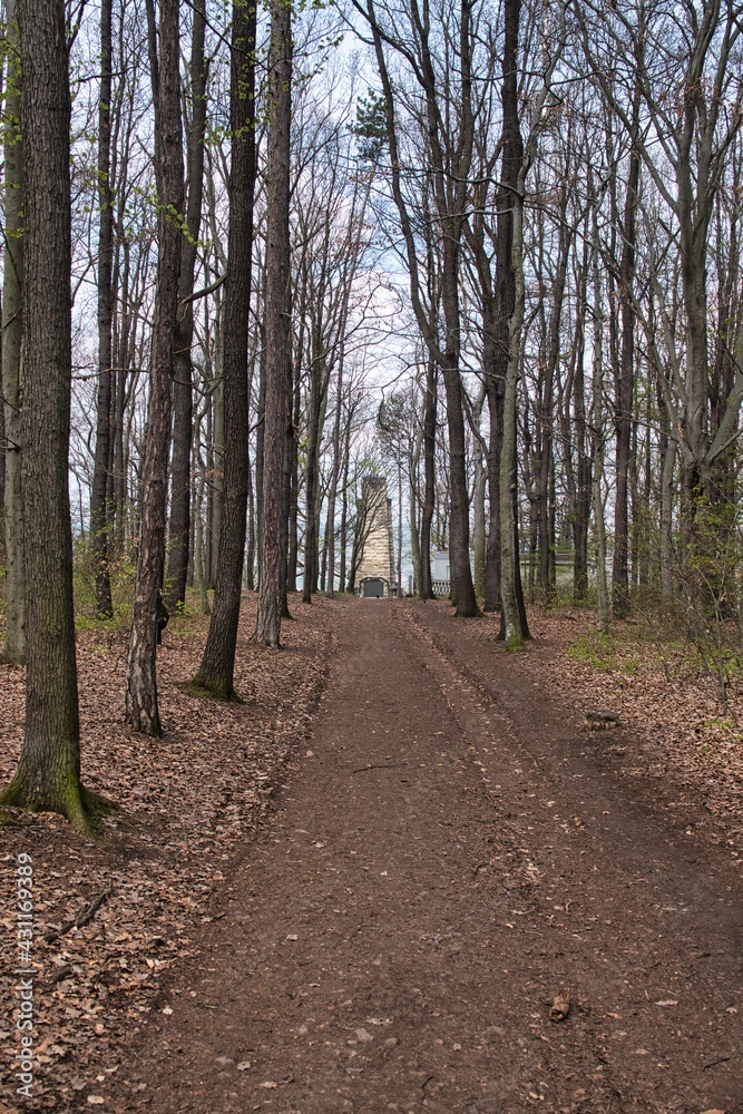 Obraz premium König Albert Denkmal