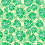 Tropical leaves, jungle monstera leaf seamless floral green pattern background