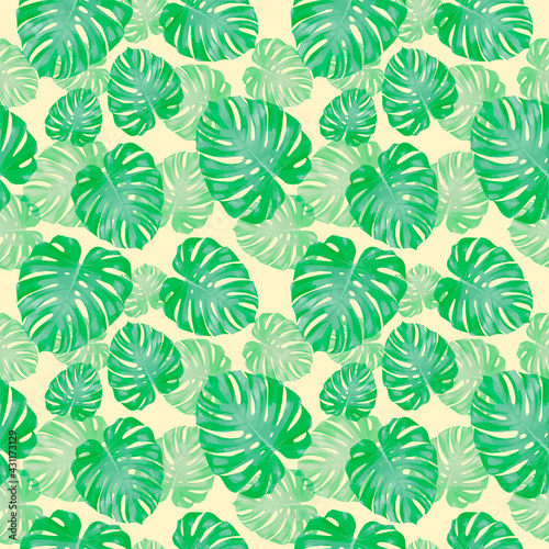 Tropical leaves, jungle monstera leaf seamless floral green pattern background