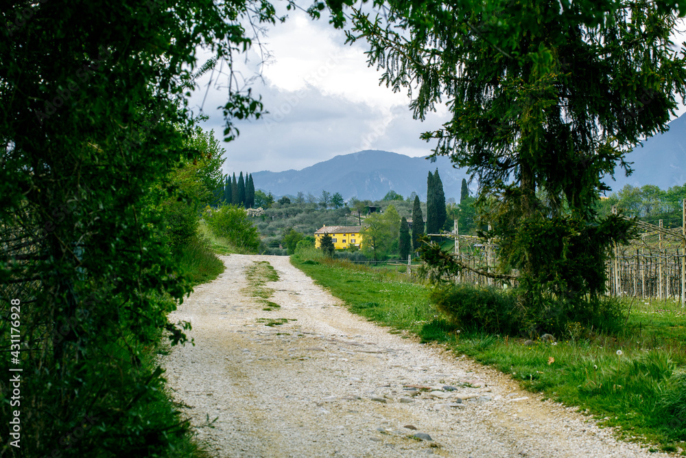 Obraz premium A country road