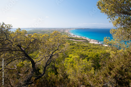 Fantastic panoramic view of the coast of the island of Formentera in Spain from the hill of El Mirador. In the background the Mediterranean sea and the surrounding vegetation 
