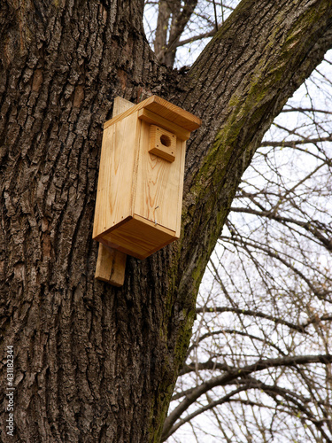 wooden breeding box on tree for young small birds