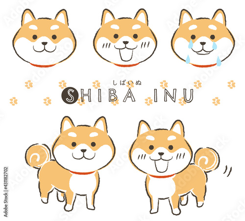 柴犬のベクターイラストセット