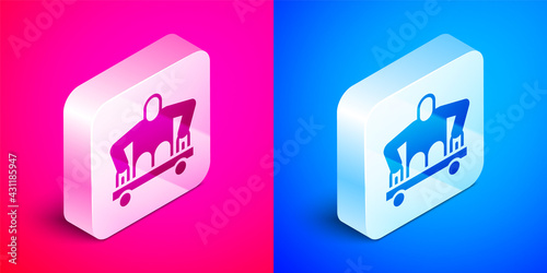 Isometric Man without legs sitting wheelchair icon isolated on pink and blue background. Disability concept. Guy with physical disabilities. Silver square button. Vector