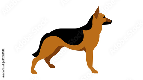 German Shepherd. Full height dog, silhouette. Vector isolated illustration of a thoroughbred dog.