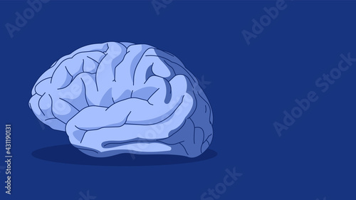 The human brain on a blue background. Vector illustration, template for banner or article. Copyspace.