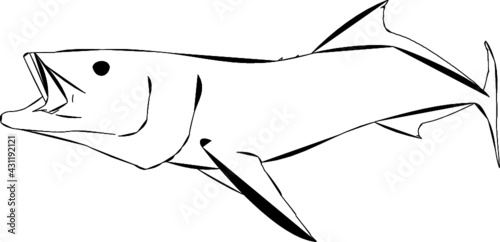 Modern Outline of a Cobia Fish