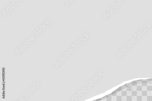 Paper with torn corner. Ripped page template. Vector illustration 