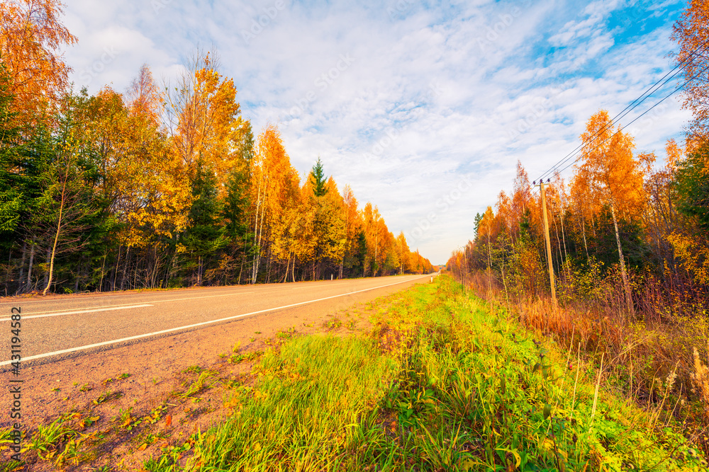Country autumn road going downhill. Mixed forest. Cloudy weather. Autumn evening. Beautiful nature. Russia, Europe. View from the lawn. Country autumn road going downhill. Mixed forest. Cloudy weather. Autumn evening. Beautiful nature. Russia, Europe. View from the lawn.