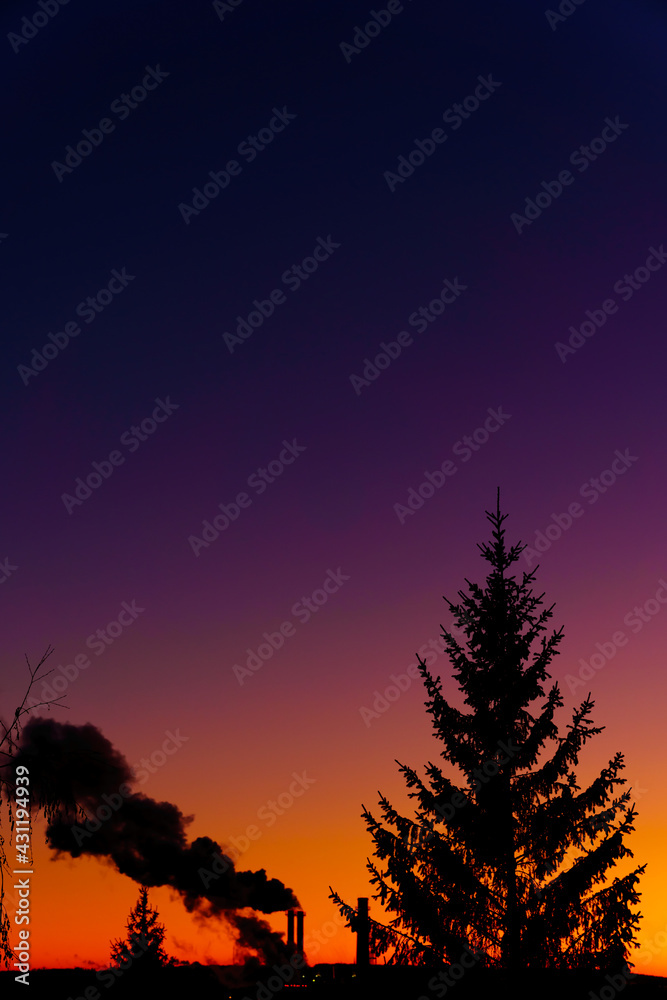 Spruce tree silhouette and smoke from the pipes against the backdrop of a beautiful fiery red sunset. Vertical orientation, copy space